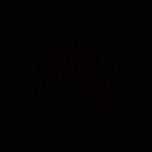 Meet your Posher, Brooklyn